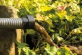 Oase PondVac 3 Odkurzacz do Oczka Wodnego 1600W 4000l/h