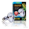 EXO TERRA SUN GLO 75W ŻARÓWKA GRZEWCZA DZIENNA DO TERRARIUM