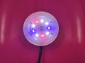 Akwarium HR-300 14L z filtrem i Lampą LED Zielone