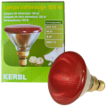 Kerbl Żarówka Promiennik Podczerwieni 100W Czerwona