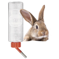 Poidło Poidełko Classic Giant dla Królika Gryzoni 1100ml