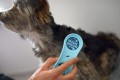 Szczotka dla Psów Wrażliwych Ocean Blue SOFT Magic Brush Wyczesuje i Masuje