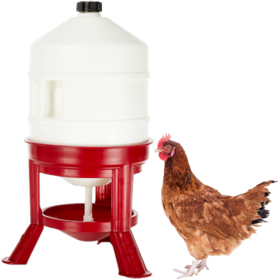 Novital Automatyczne Poidło dla Kur Drobiu Ptactwa 30l