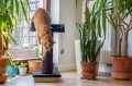 Ecomfy Drapak dla Kota Alex z Półką 67,5cm Beżowy