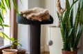 Ecomfy Drapak dla Kota Alex z Półką 67,5cm Szary