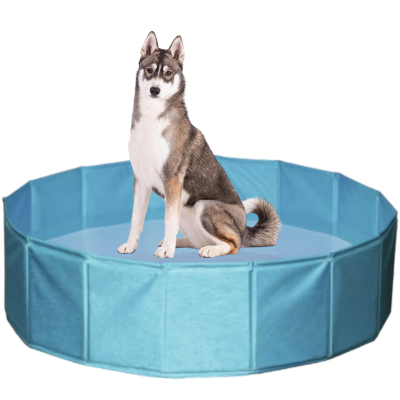 db210358297669374c9c268dfee7d7e5-PhotoRoom (2).png