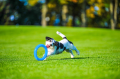 Pitchdog Ringo Pierścień do Aportowania dla Psa Zabawka 17cm Niebieska