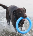 Pitchdog Ringo Pierścień do Aportowania dla Psa Zabawka 17cm Niebieska