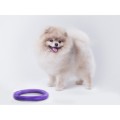 Collar Puller Micro 12,5cm Zestaw Ring do Ćwiczeń dla Psów Małych Ras