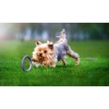 Collar Puller Micro 12,5cm Zestaw Ring do Ćwiczeń dla Psów Małych Ras