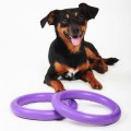 Collar Puller Mini 18cm Zestaw Ring do Ćwiczeń dla Psów Małych Ras