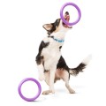 Collar Puller Mini 18cm Zestaw Ring do Ćwiczeń dla Psów Małych Ras