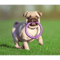 Collar Puller Mini 18cm Zestaw Ring do Ćwiczeń dla Psów Małych Ras