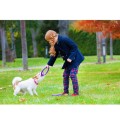 Collar Puller Mini 18cm Zestaw Ring do Ćwiczeń dla Psów Małych Ras