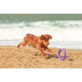 Collar Puller Mini 18cm Zestaw Ring do Ćwiczeń dla Psów Małych Ras