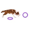 Collar Puller Midi 20cm Zestaw Ring do Ćwiczeń dla Psów Średnich Ras