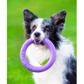 Collar Puller Midi 20cm Zestaw Ring do Ćwiczeń dla Psów Średnich Ras