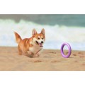 Collar Puller Midi 20cm Zestaw Ring do Ćwiczeń dla Psów Średnich Ras