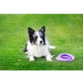 Collar Puller Midi 20cm Zestaw Ring do Ćwiczeń dla Psów Średnich Ras