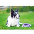Collar Puller Midi 20cm Zestaw Ring do Ćwiczeń dla Psów Średnich Ras