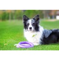 Collar Puller Midi 20cm Zestaw Ring do Ćwiczeń dla Psów Średnich Ras