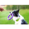 Collar Puller Midi 20cm Zestaw Ring do Ćwiczeń dla Psów Średnich Ras