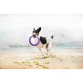 Collar Puller Midi 20cm Zestaw Ring do Ćwiczeń dla Psów Średnich Ras