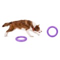 Collar Puller Standard 28cm Zestaw Ring do Ćwiczeń dla Psów Średnich i Dużych Ras