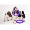 Collar Puller Standard 28cm Zestaw Ring do Ćwiczeń dla Psów Średnich i Dużych Ras