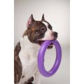 Collar Puller Standard 28cm Zestaw Ring do Ćwiczeń dla Psów Średnich i Dużych Ras