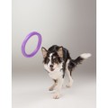 Collar Puller Standard 28cm Zestaw Ring do Ćwiczeń dla Psów Średnich i Dużych Ras