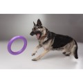 Collar Puller Standard 28cm Zestaw Ring do Ćwiczeń dla Psów Średnich i Dużych Ras