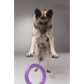 Collar Puller Standard 28cm Zestaw Ring do Ćwiczeń dla Psów Średnich i Dużych Ras