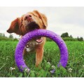 Collar Puller Standard 28cm Zestaw Ring do Ćwiczeń dla Psów Średnich i Dużych Ras