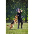 Collar Puller Standard 28cm Zestaw Ring do Ćwiczeń dla Psów Średnich i Dużych Ras