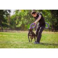 Collar Puller Standard 28cm Zestaw Ring do Ćwiczeń dla Psów Średnich i Dużych Ras