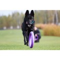 Collar Puller Standard 28cm Zestaw Ring do Ćwiczeń dla Psów Średnich i Dużych Ras