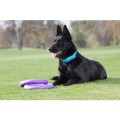 Collar Puller Standard 28cm Zestaw Ring do Ćwiczeń dla Psów Średnich i Dużych Ras