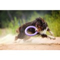 Collar Puller Standard 28cm Zestaw Ring do Ćwiczeń dla Psów Średnich i Dużych Ras