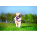 Collar Puller Standard 28cm Zestaw Ring do Ćwiczeń dla Psów Średnich i Dużych Ras