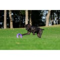 Collar Puller Maxi 30cm Ringo do Ćwiczeń dla Psów Dużych i Olbrzymich Ras