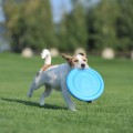 PitchDog Latający Dysk Aportowania dla Psa Zabawka 24cm Niebieska 62472