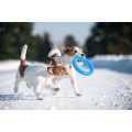 PitchDog Ringo Pierścień do Aportowania dla Psa Zabawka 20cm Niebieska
