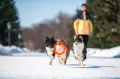 PitchDog Ringo Pierścień do Aportowania dla Psa Zabawka 20cm Pomarańczowa