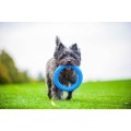 PitchDog Ringo Pierścień do Aportowania dla Psa Zabawka 28cm Niebieska