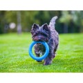 PitchDog Ringo Pierścień do Aportowania dla Psa Zabawka 28cm Niebieska