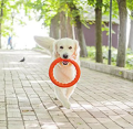 PitchDog Ringo Pierścień do Aportowania dla Psa Zabawka 28cm Pomarańczowa