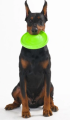 Flyber Frisbee Dwustronny Latający Spodek dla Psa Zabawka Treningowa 22cm Zielony
