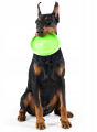 Flyber Frisbee Dwustronny Latający Spodek dla Psa Zabawka Treningowa 22cm Zielony