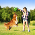 Flyber Frisbee Dwustronny Latający Spodek dla Psa Zabawka Treningowa 22cm Zielony